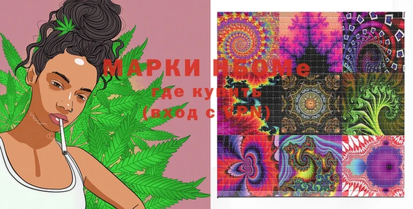 индика Россошь