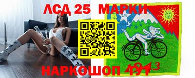 мдпв Кингисепп