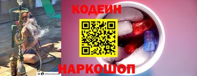 мдпв Кингисепп