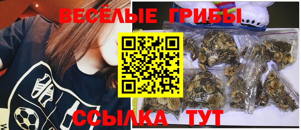 Псилоцибиновые грибы Psilocybe Кириши