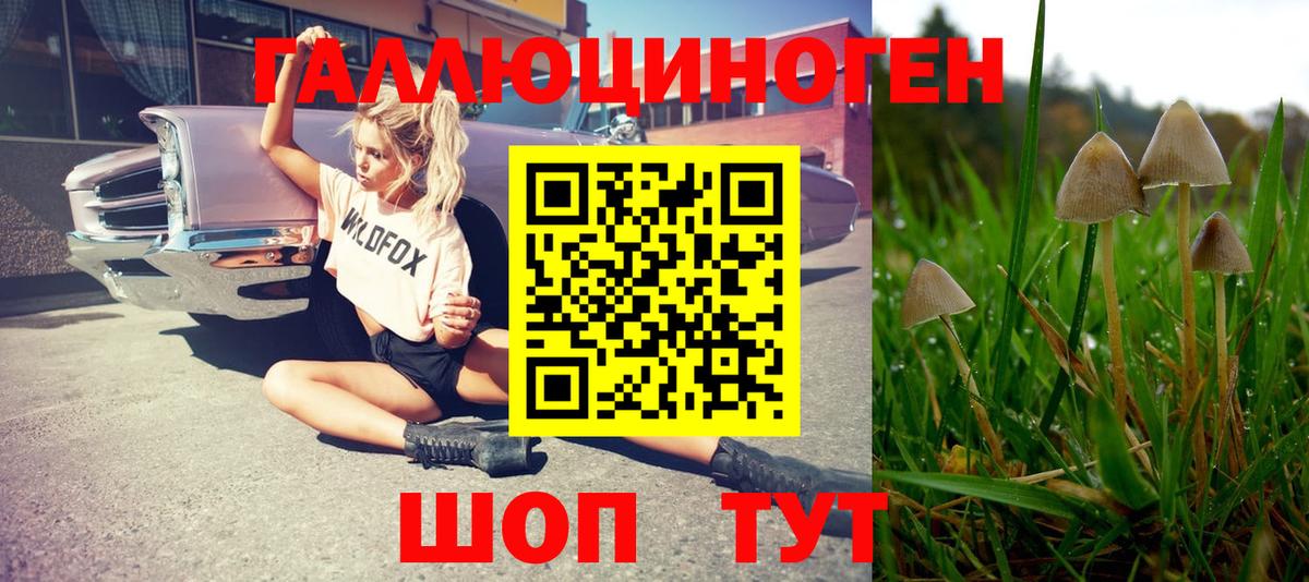 Псилоцибиновые грибы Magic Shrooms  Галлюциногенные грибы Cubensis  Вход с VPN  Кириши 