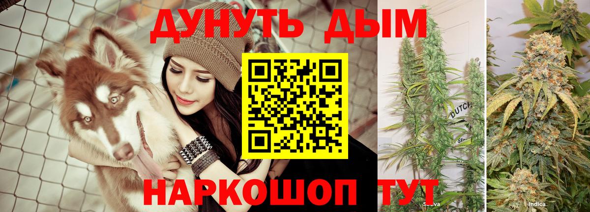 Шишки марихуана конопля Кириши